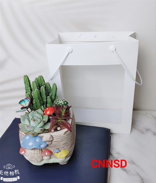 CHẬU NHÀ NẤM MIX SEN ĐÁ