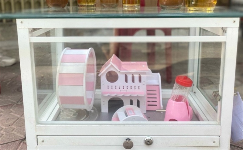 Hồ Gương Mặt Kính Cường Lực Nuôi Hamster