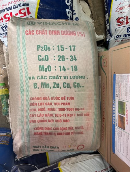 Lân Văn Điển (B/50kg)