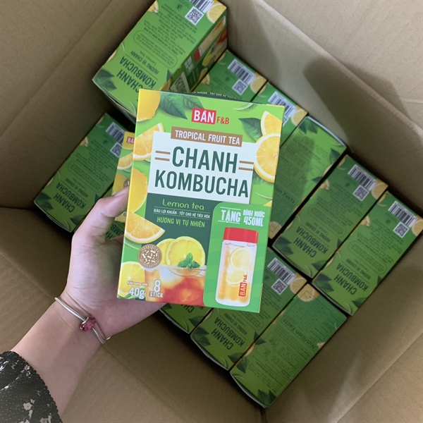 KOMBUCHA 40g (8 tép/hộp) - 36H/Thùng