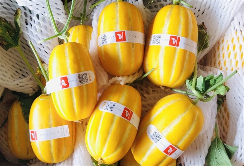 Dưa lê Hàn Quốc (hữu cơ)
