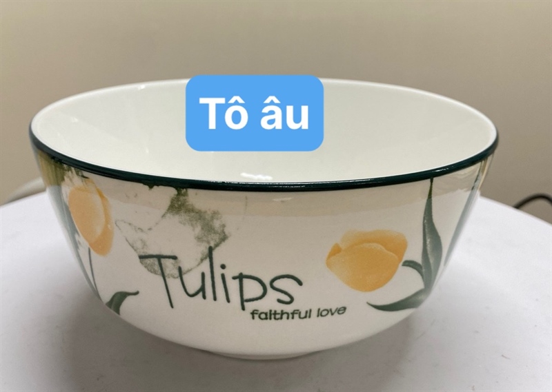 TÔ SỨ ÂU 6 ICNH TULIP