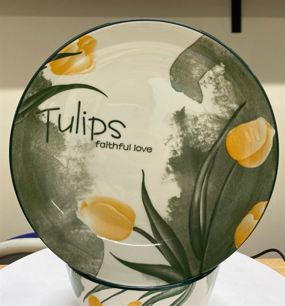 Dĩa sứ ảo TULIP 7 ICNH