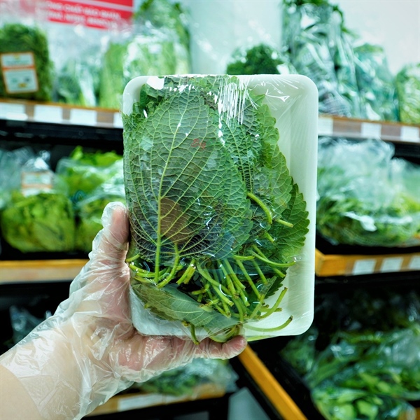 Lá Nhíp ( Lá Vừng)