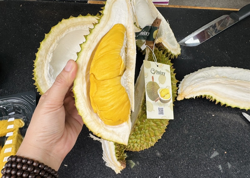 Sầu Riêng Musaking - Juixy