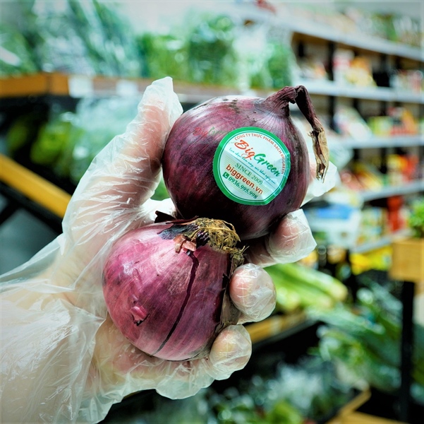 Củ Hành Tây Tím - Đà Lạt
