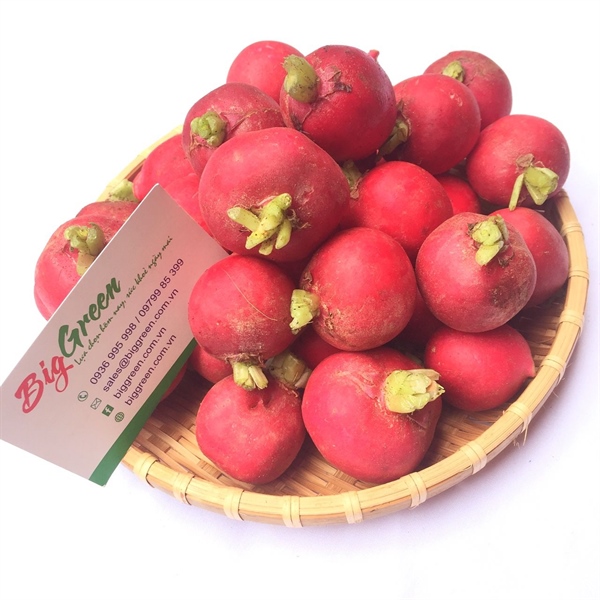 Củ Cải Đỏ - Đà Lạt