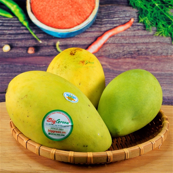 Xoài Cát Hòa Lộc - Cao Lãnh