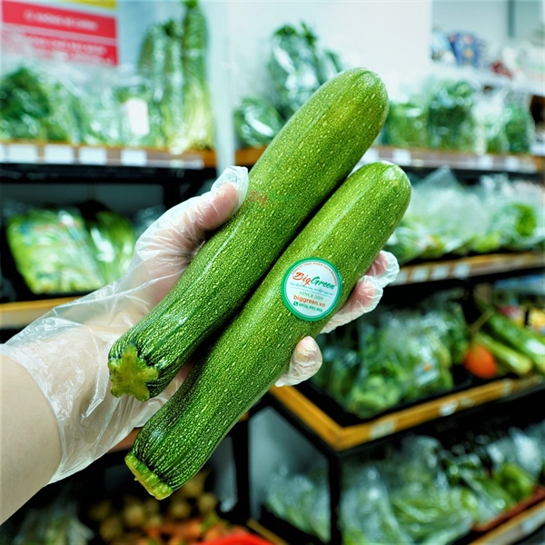 Bí Ngồi Xanh - Đà Lạt