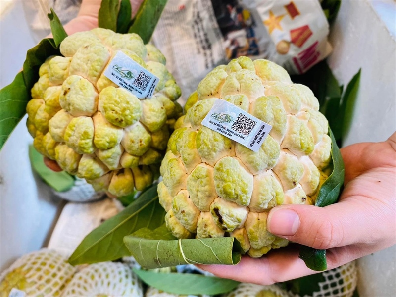 Na Chi Lăng Lạng Sơn
