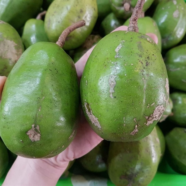 Qủa Cóc Cày Xanh