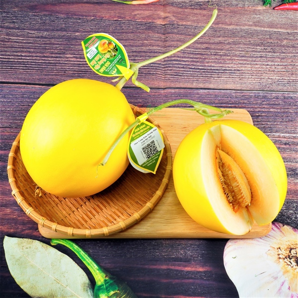 Dưa Kim Hoàng Hậu-Lam Sơn