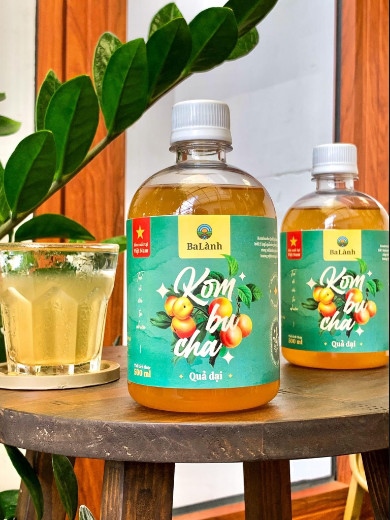 Nước Uống Kombucha 500ml - Ba Lành