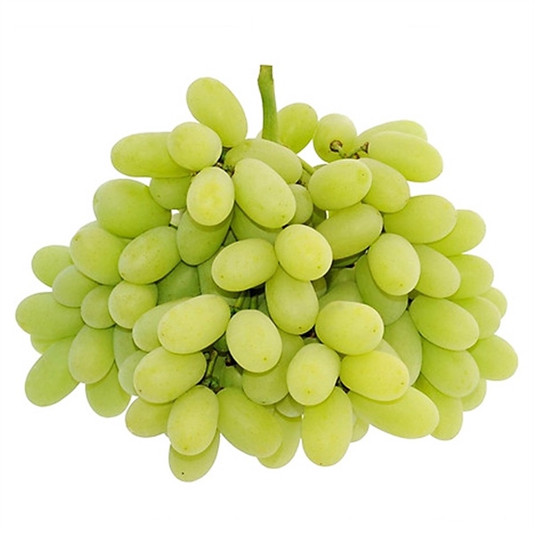 Nho Xanh Không Hạt