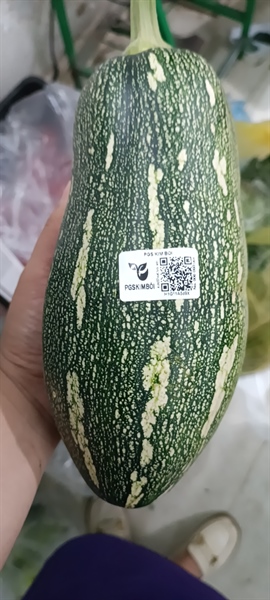 Bí Ngô Non Hữu Cơ PGS