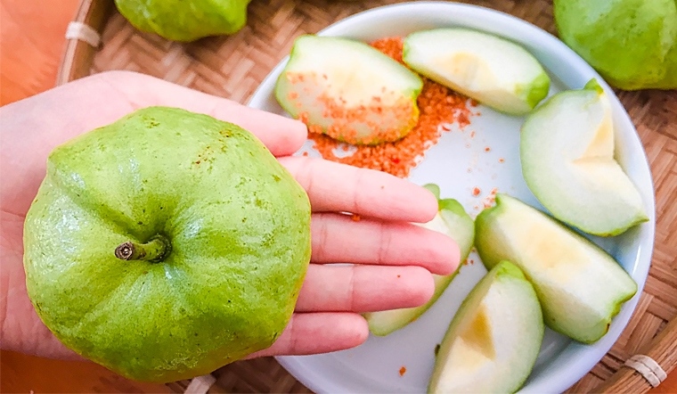 Ổi Sần - Lục Ngạn