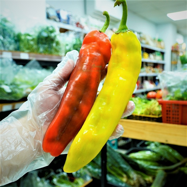 Ớt Ngọt Palermo - Đà Lạt