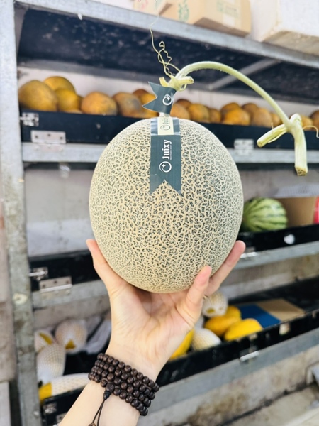 Dưa Lưới Mật Bảy Núi