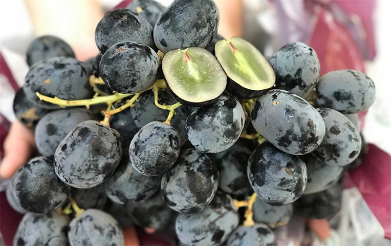 Nho Đen Không Hạt