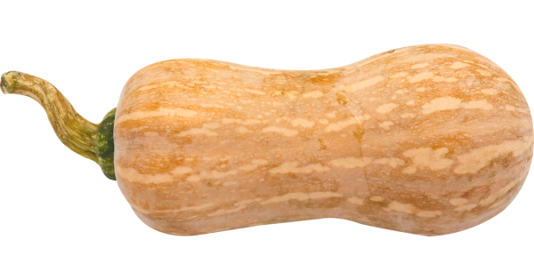 Quả Bí Cô Tiên /Bí Đỏ