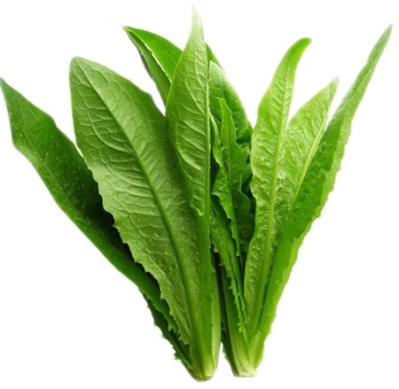 Rau Diếp Thơm Hữu Cơ Pgs