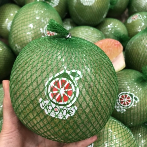 Bưởi Da Xanh Vipo Size Bi