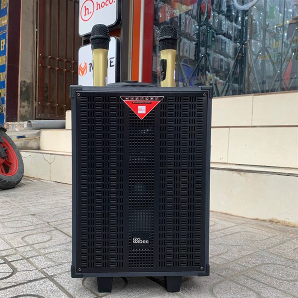 Loa kéo SIBEE XY2108A Bass20 2 mic