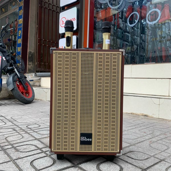Loa kéo SIBEE XY1011 Bass25 2 mic