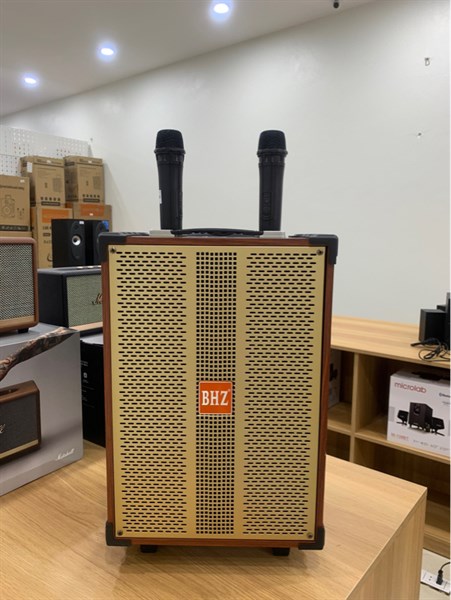 Loa kéo BHZ109 Bass25 2 mic