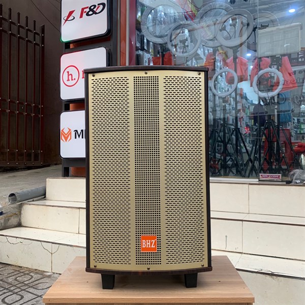 Loa kéo BHZ1201 Bass30 2 mic
