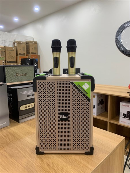 Loa kéo SIBEE XY2208 Bass20 2 mic