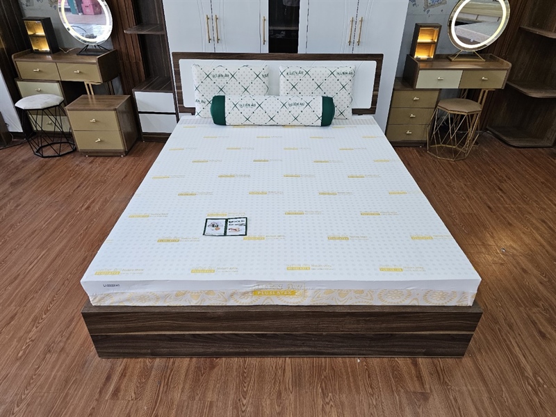 Nệm CS Liên Âu PLUS LATEX (1 lổ tròn )