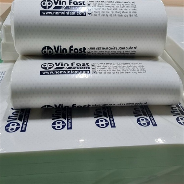 Nệm CS Vin Fast white blues (T)