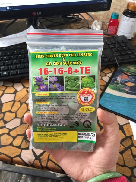 VT Phân sen súng-duoc-ban-tai-Chợ gốm Bảo Lộc