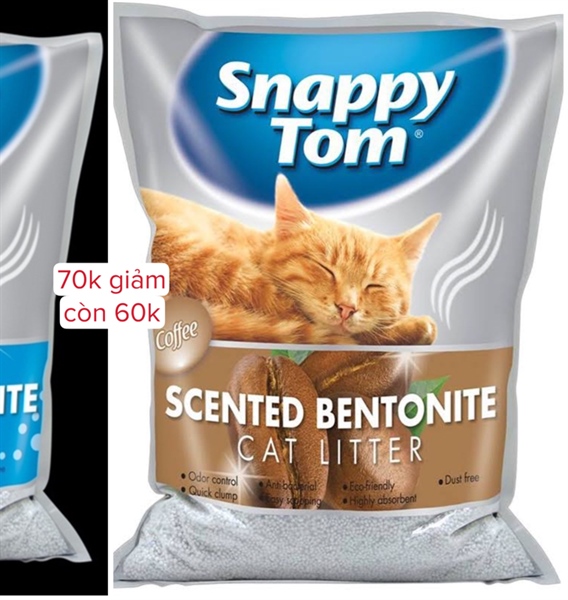 CÁT SNAPPY TOM-duoc-ban-tai-CHÚ MÈO BÉO PETSTORE
