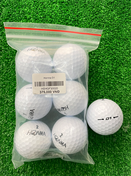 Honma D1