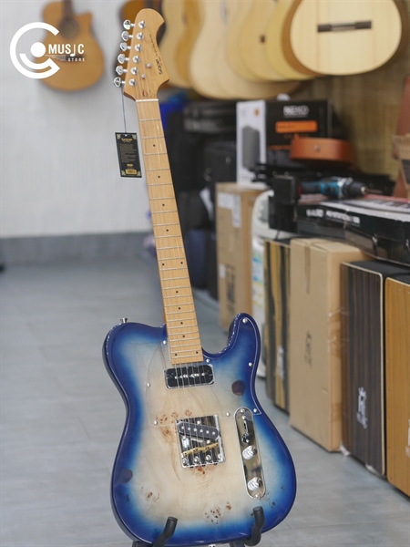 Guitar Điện Sqoe SETL 550