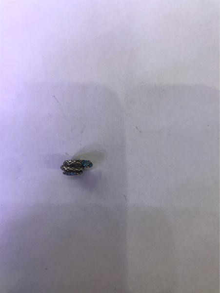 426-CHARM-RẮN XAH(15T12)