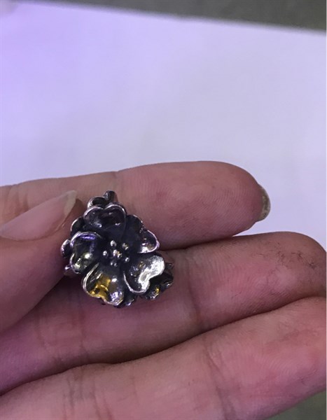 252-CHARM-(G325)3 BÔNGHOA