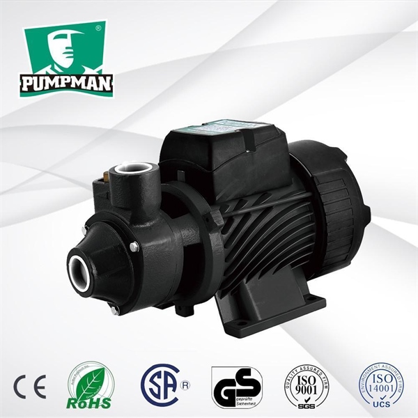 Bơm đẩy cao BUMPMAN QB80 (750W)