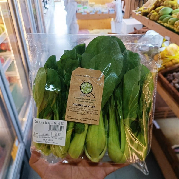 Cải thìa baby - Dalat SE Organik dalat