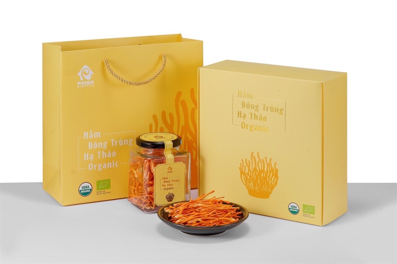 Đông trùng hạ thảo hữu cơ 10g Phú Gia