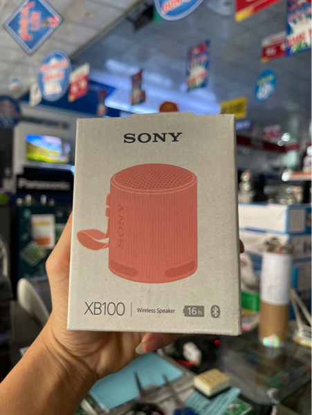 Loa Mini XB100