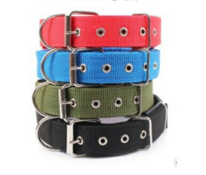 DÂY CỔ CHÓ LỚN