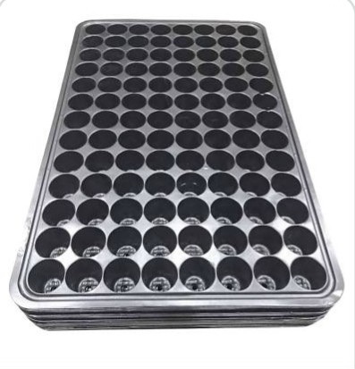 Khây Ươm 104 lỗ