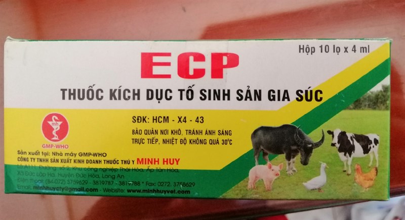 ECP KÍCH LÊN GIỐNG 4ml