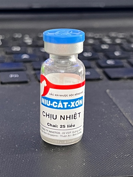 NIU-CÁT-XƠN chịu nhiệt 25 liều uống (3-14 ngày)