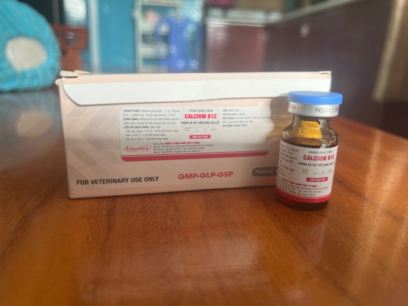 CALCIUM B12 lọ 10ml