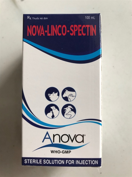 Anova-Linco-Spectin 100ml