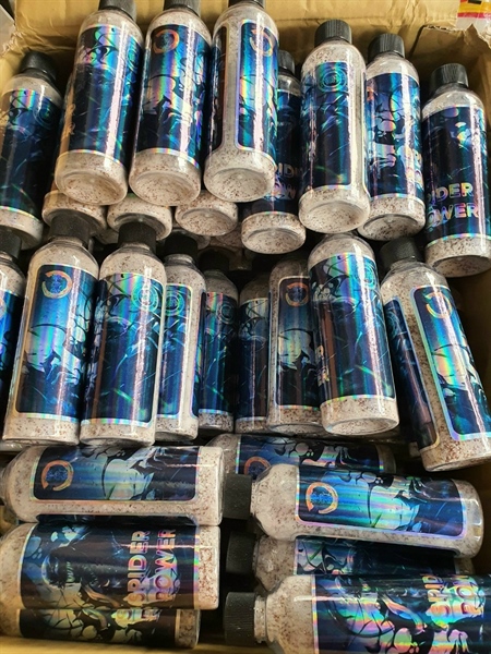 mồi tơ nhện